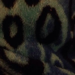 Meet your Posher, Patsy